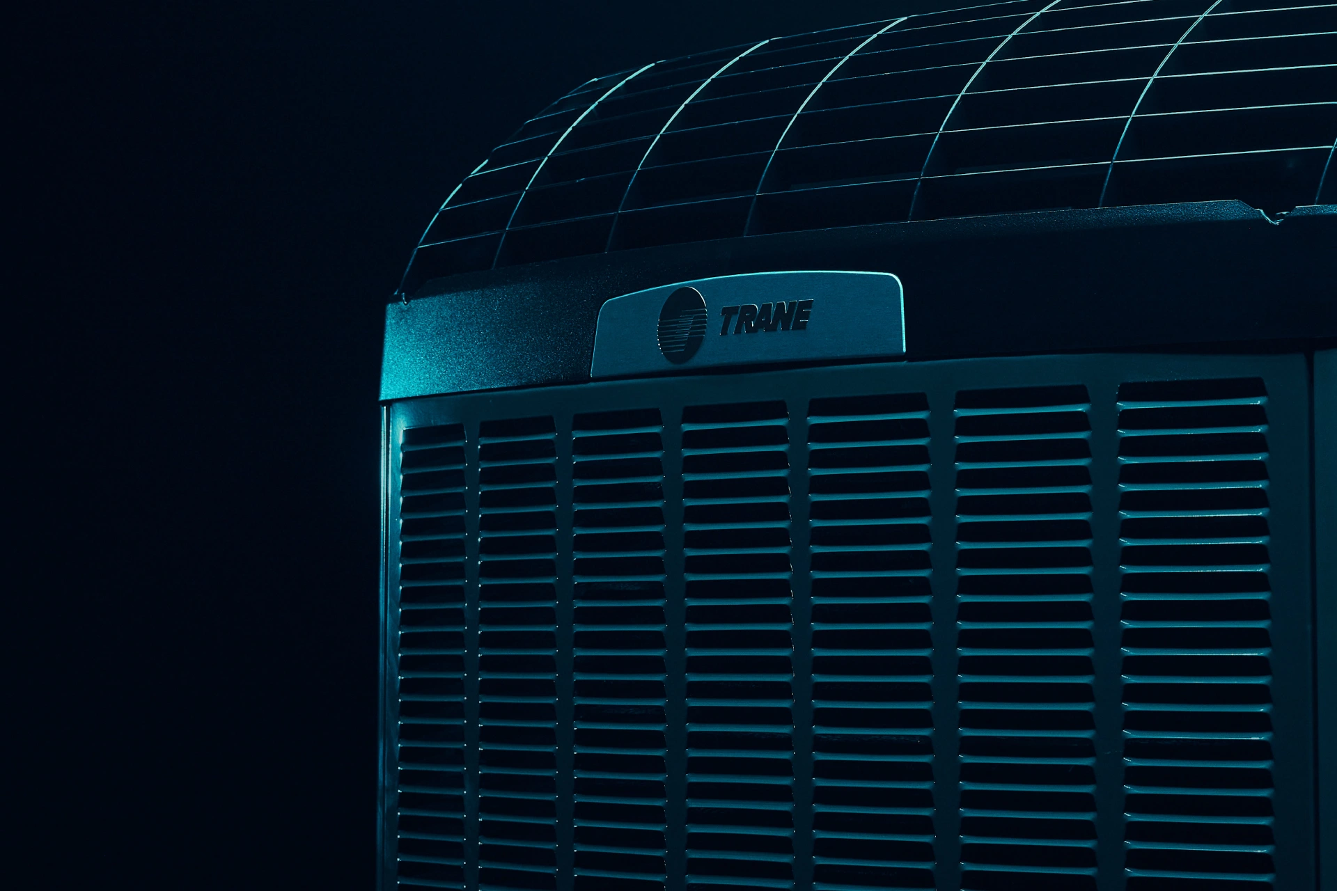Trane Moody Closeup