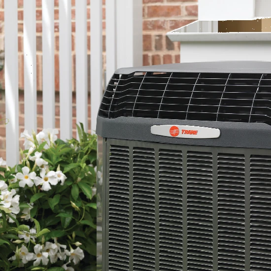 Trane Outdoor Heat Pump Flowers